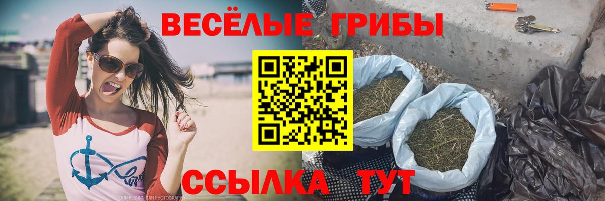 Галлюциногенные грибы MAGIC MUSHROOMS Павловский Посад